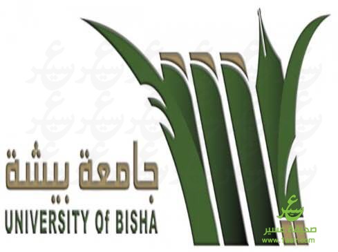موقع جامعة بيشه