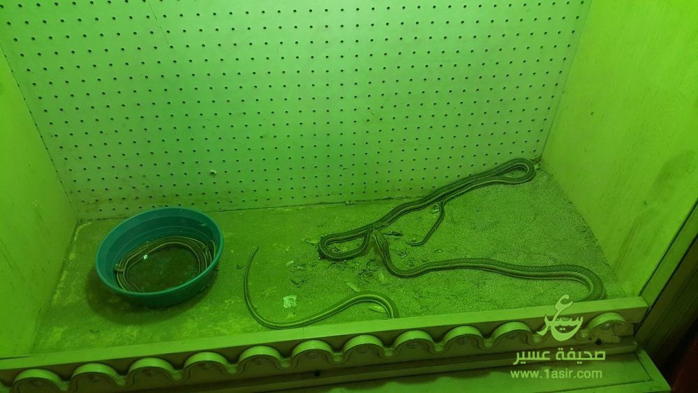 ٢٠١٦٠٧٢٣_٢٢٥٤٢٣